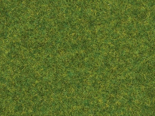 NOCH 8314 Streugras Zierrasen, 2,5 mm, 20 g Beutel